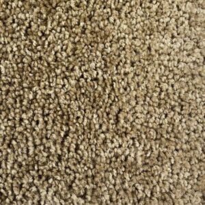 Carpet | Ronnie's Carpets & Flooring