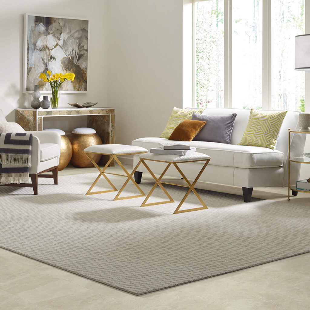 Area Rug | Ronnie's Carpets & Flooring